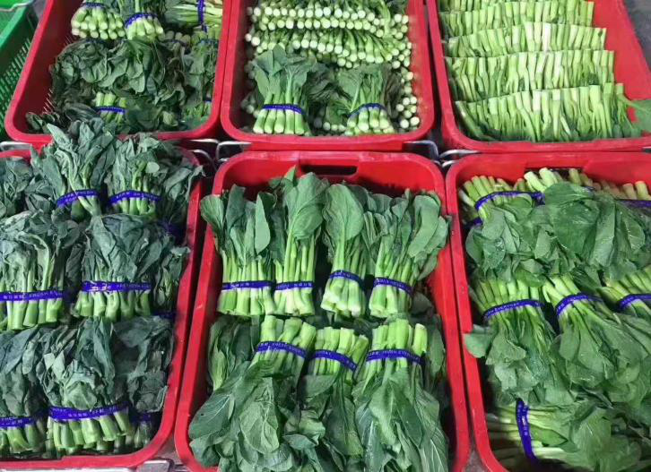 蔬菜小青菜等各種蔬菜配送承包，